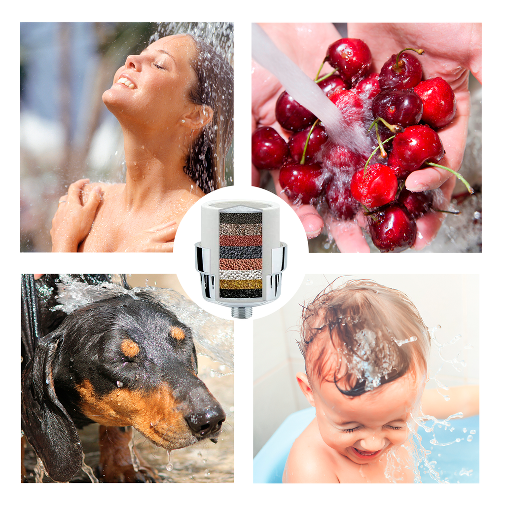 SHOWER FILTER